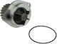 NTY Car Water Pump for Peugeot 106 / 205 / 206 / 306 / 307 / 308 / 405 / Partner Citroen AX / BX / C15 / Saxo / Xsara / Xsara Picasso / ZX Nissan Micra