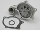 NTY Auto-Wasserpumpe für Mitsubishi Colt / Einkaufszentrum / Galant / L200 / L400 / Lancer / Pajero / Pajero Pinin / Santamo / Sigma / Raumstern / Raumwagen Kia Joice Honda Civic Chrysler Neon / PT Cruiser / Sebring / Reisender / Großer Voyager Nissan Abholung Hyundai Galloper / H-1 Starex / H-1 / Lantra / Santamo / Sonate Daewoo Lanos / Nexia Dodge Neon
