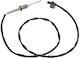 NTY Abgastemperatursensor Autokühler für Mini Clubman / Landsmann BMW X1