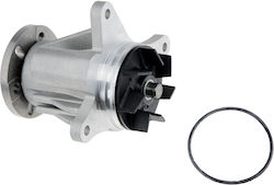 NTY Αντλία Νερού Αυτοκινήτου για Land Rover Discovery / Range Rover / Range Rover Sport NTY Αντλία Νερού Αυτοκινήτου για Land Rover Discovery / Range Rover / Range Rover Sport