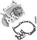 NTY Auto-Wasserpumpe für Renault Clio / Kangoo / Megane / Malerei / Thalia Nissan Abholung Dacia Logan / Logan MCV / Logan Abholung / Sandero