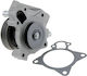 NTY Car Water Pump for Peugeot Boxer Fiat Ducato Citroen Jumper