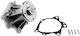 NTY Car Water Pump for Opel Movano Renault Master Nissan Laurel / Patrol