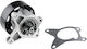 NTY Car Water Pump for Renault Clio / Fluence / Grand Scenic / Laguna / Latitude / Megane / Scenic Nissan Qashqai / Tiida / X-Trail