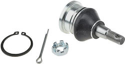 NTY Car Ball Joint