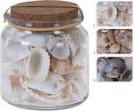 Decorative Shell Garden Glass in Glass jar 580gr D22200020