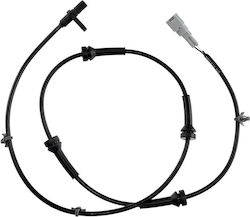 NTY ABS Sensor Zurück NTY ABS Sensor Zurück