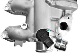 NTY Βαλβίδα EGR Αυτοκινήτου για Ford Galaxy / S-Max / Tourneo Connect / Transit Connect