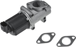 NTY AGR-Ventil Auto Engine Ventile für Opel Astra / Zeichen / Vectra / Zafira Fiat Croma / Großer Punkt / Sechzehn Suzuki SX4 Chrysler GTS Alfa Romeo SportWagon Saab 9-3