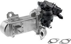 NTY Βαλβίδα EGR Αυτοκινήτου για Peugeot 3008 / 308 / 407 / 5008 / 508 / 807 / Expert / Expert Tepee / RCZ Citroen C4 Grand Picasso / C4 / C4 Picasso / C5 / C8 / DS4 / DS5 / Jumpy Ford Focus / Galaxy / Grand C-Max / Kuga / Mondeo / S-Max
