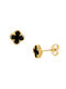 Earrings made of Gold 14K