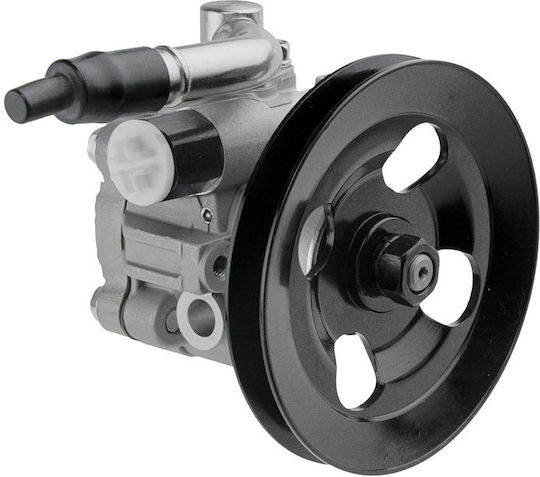 NTY Servolenkungspumpe Auto für Skoda Abholung Nissan Navara / Abholung Dacia Abholung Isuzu Abholung