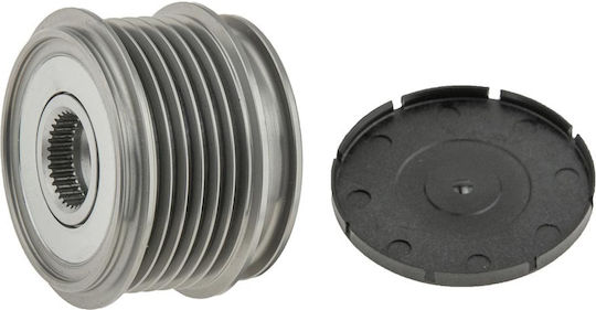 NTY Riemenscheibe Strofalos Auto für Mercedes-Benz Vario Seat Ibiza / Alhambra / Cordoba / Inka / Toledo Skoda Octavia Volkswagen Golf / Polo / Einkaufswagen / Käfer (Neu) / Käfer / Sharan Audi A3
