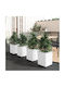 vidaXL Set 4 Planter Box-uri Din Plastic Albe 30 cm