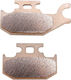 DP Brakes Τακάκια Μοτοσυκλέτας Πίσω