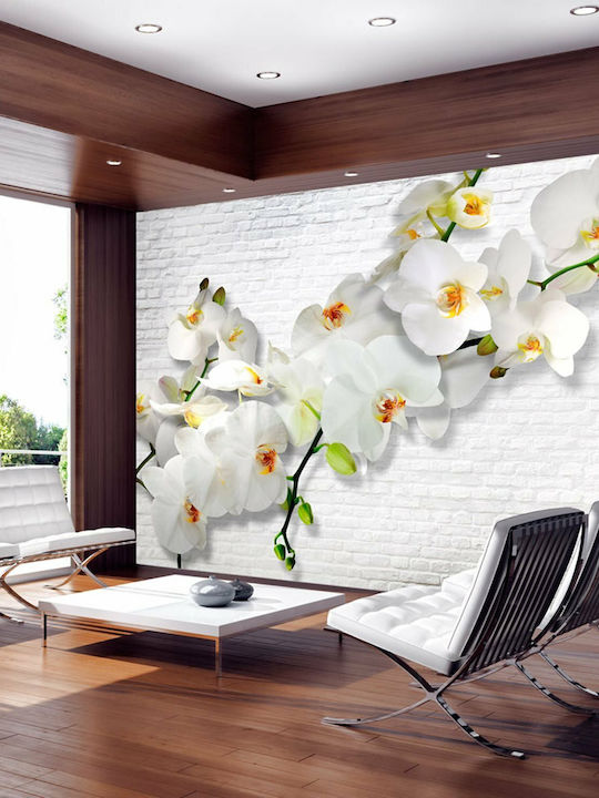 Wall Mural Fabric L250xW175cm