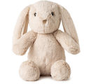 Cloud b Plush 21 cm