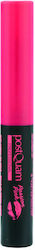 PostQuam Professional Lip Gloss Pink 16gr