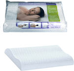 JGS S.A. Sleep Pillow Latex 65x38cm