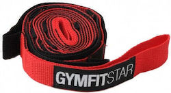 Yogistar Fitness Straps