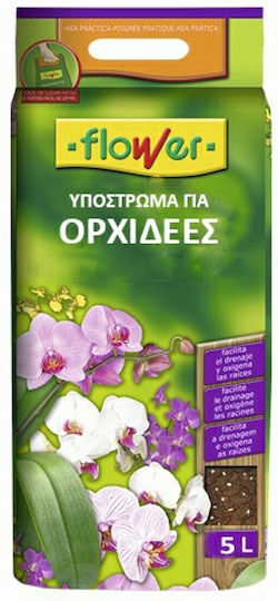 Flower Lichid Îngrășământ pentru Orhidee 5lt