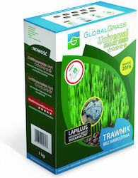 Global Grass Samen
