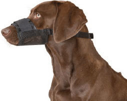 Kruuse Dog Muzzle 29cmcm