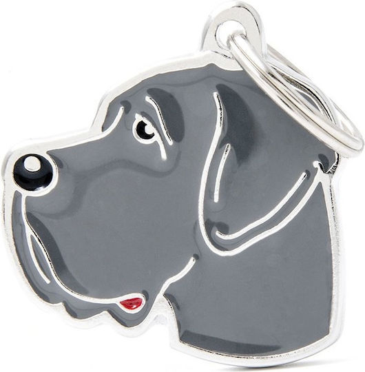 My Family Great Dane Dog ID Tag Blue (Personalized)