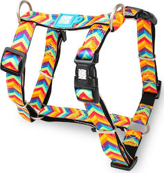 Max & Molly Summertime Orange X-Small Dog Harness Max & Molly Summertime Orange X-Small Dog Harness