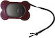 Croci Clicker Ausbildung Hund & Katze