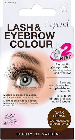 Depend Cosmetics Eyebrow Colour Set Eyebrow Makeup In Brown Shade