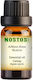 Nostos Pure Αιθέριο Έλαιο Μαγιοβότανο 50ml