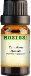 Nostos Pure Γαρύφαλλο Απόλυτο - Carnation Absolute 1ml