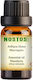 Nostos Pure Mandarin Ätherisches Öl Mandarin 10ml