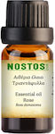 Nostos Pure Αιθέριο Έλαιο Τριαντάφυλλο 5ml