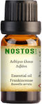 Nostos Pure Essential Oil Frankincense 10ml