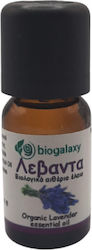 Biogalaxy Organic Ulei Esențial Lavanda 10ml