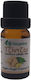 Biogalaxy Organic Essential Oil Ginger 10ml