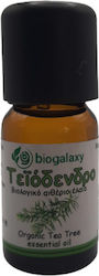 Biogalaxy Essential Oil Tea Tree 10ml