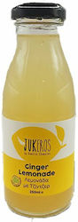Jukeros Λεμονάδα Χωρίς Ανθρακικό & Ζάχαρη 250ml Jukeros Λεμονάδα Χωρίς Ανθρακικό & Ζάχαρη 250ml