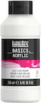 Liquitex Gloss Polish Painting 250ml