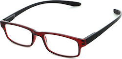Michael Pachleitner Group Damen Lesebrille +2.5...