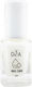Dafnis Adamo Härter mit Vitaminen 12ml