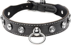 Strict Leather Collar in Black Color