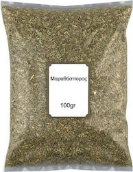 Nutsbox Fennel Seed 100gr