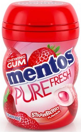 Mentos Chewing gum PURE FRESH 15pcs 18gr