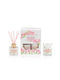 Soap Tales Set Diffuser with Fragrance Jasmine & Hyacinth ST00707