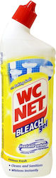 Wc Net Cleaning Gel Toilet 750ml