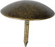 Amig Cuie Decorative