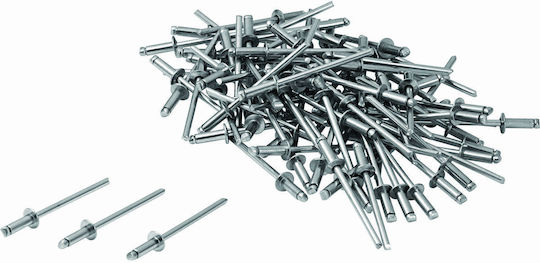 Lux Tools Nituri Inox M3x10mm 100buc